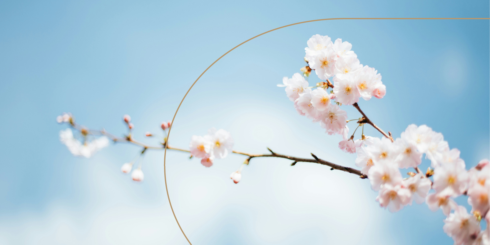 Behandlung des Monats Spring Awakening